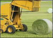 Net wrapped hay
